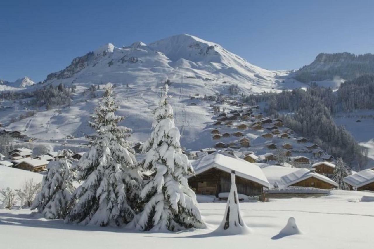 Apartment Bel Avec Vue Exceptionnelle Le Grand-Bornand
